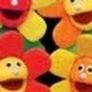 Meet your Posher, Martha